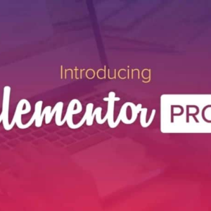 Elementor PRO WordPress Page Builder + Pro Templates 4.2.3