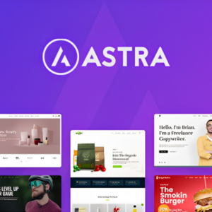 Astra Pro Theme 4.13.10 + Portfolio 1.13.6 – Most Popular WordPress Theme